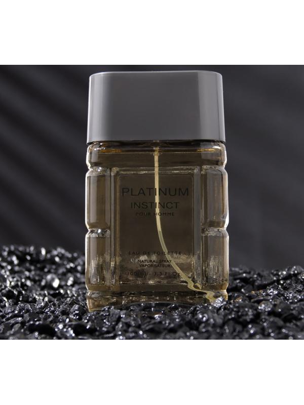 Туалетная вода мужская Instinct Platinum, 100 мл