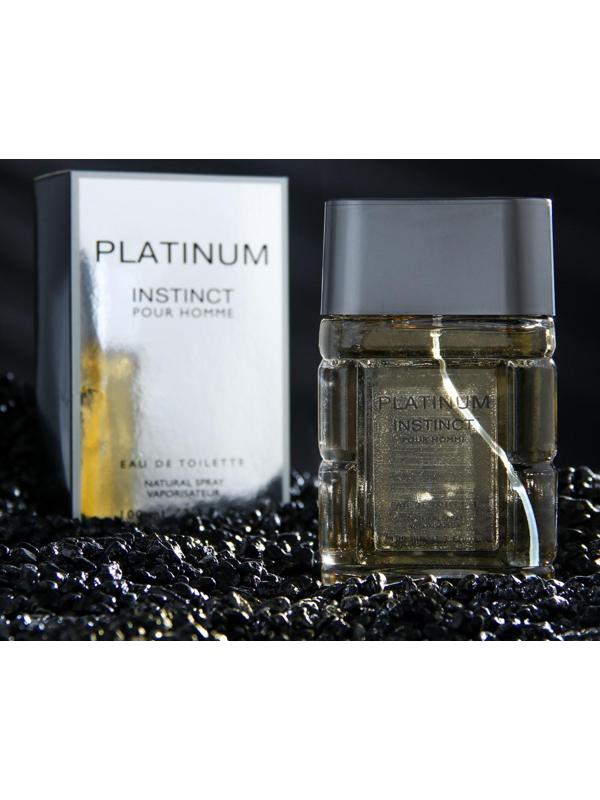 Туалетная вода мужская Instinct Platinum, 100 мл