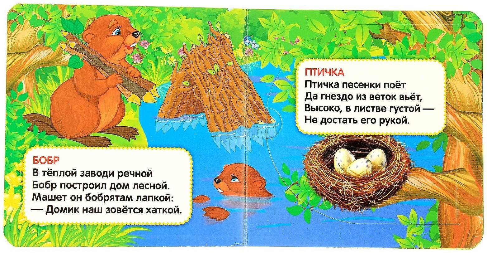 Книжка с окошками «Кто, где живёт», 127 х 127 мм. Степанов В. А.