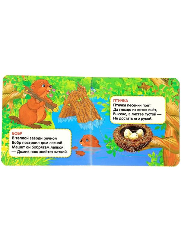 Книжка с окошками «Кто, где живёт», 127 х 127 мм. Степанов В. А.