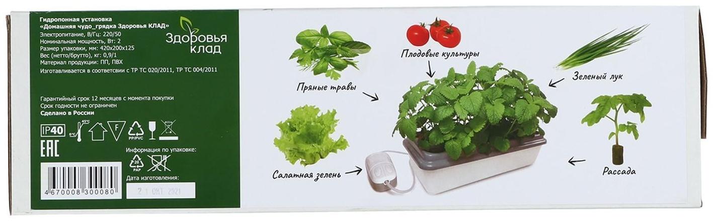 Гидропонная грядка, домашняя, «Чудо грядка»
