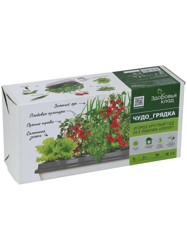 Гидропонная грядка, домашняя, «Чудо грядка»
