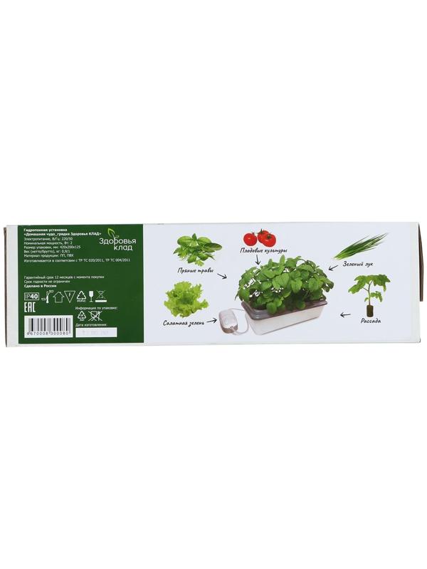 Гидропонная грядка, домашняя, «Чудо грядка»