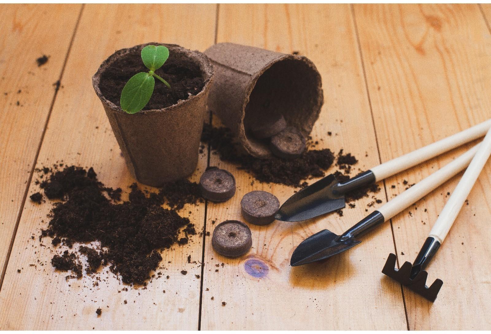 Таблетки торфяные, d = 2.7 см, с оболочкой, набор 12 шт.