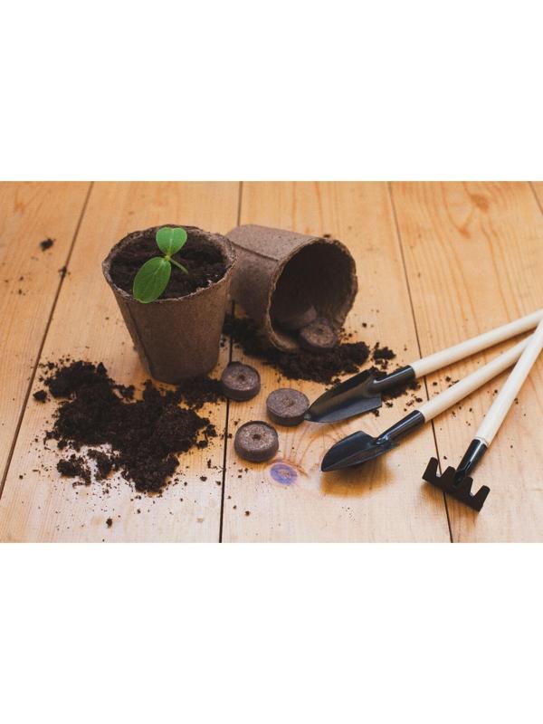 Таблетки торфяные, d = 2.7 см, с оболочкой, набор 12 шт.