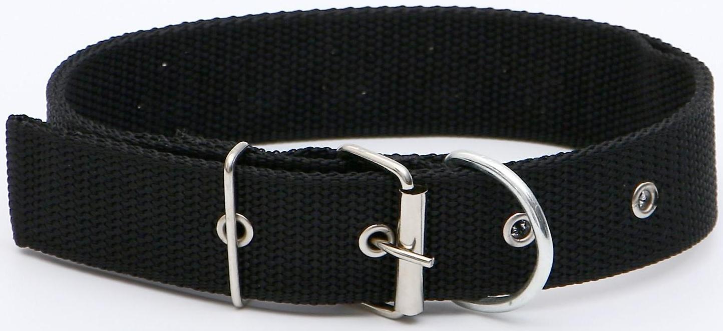 Ошейник клепаный, 48,5 х 3 см, ОШ 31-40 см, полиэстер, чёрный