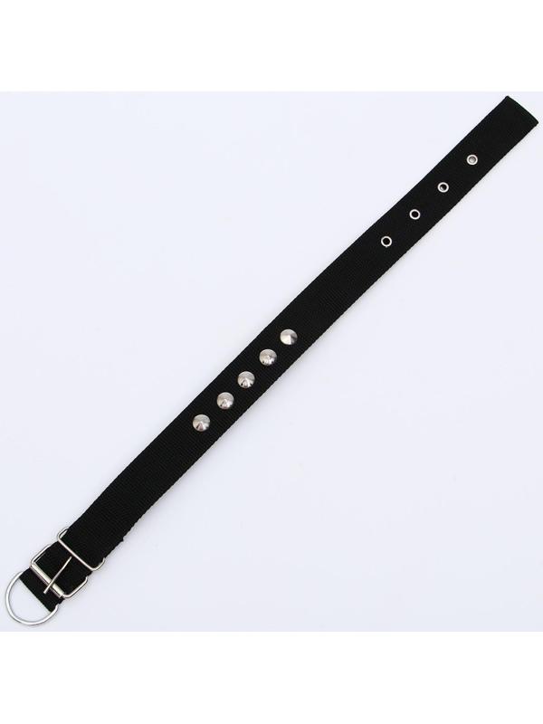 Ошейник клепаный, 48,5 х 3 см, ОШ 31-40 см, полиэстер, чёрный