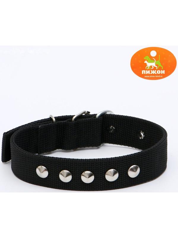 Ошейник клепаный, 48,5 х 3 см, ОШ 31-40 см, полиэстер, чёрный
