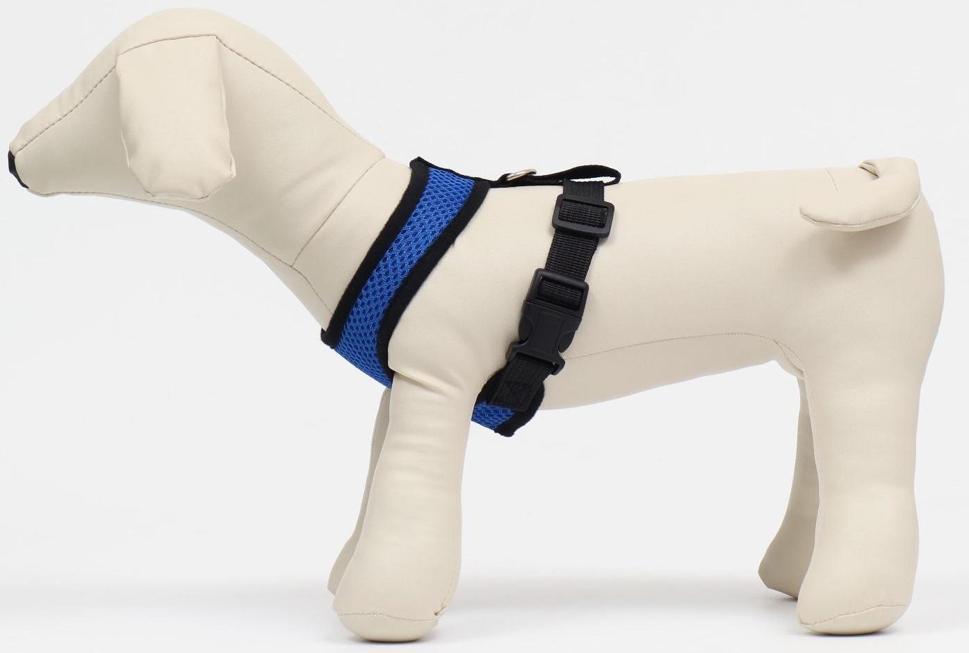 Шлейка мягкая из неопрена, размер S, ОШ 24 см, ОГ 24-34 см, синяя