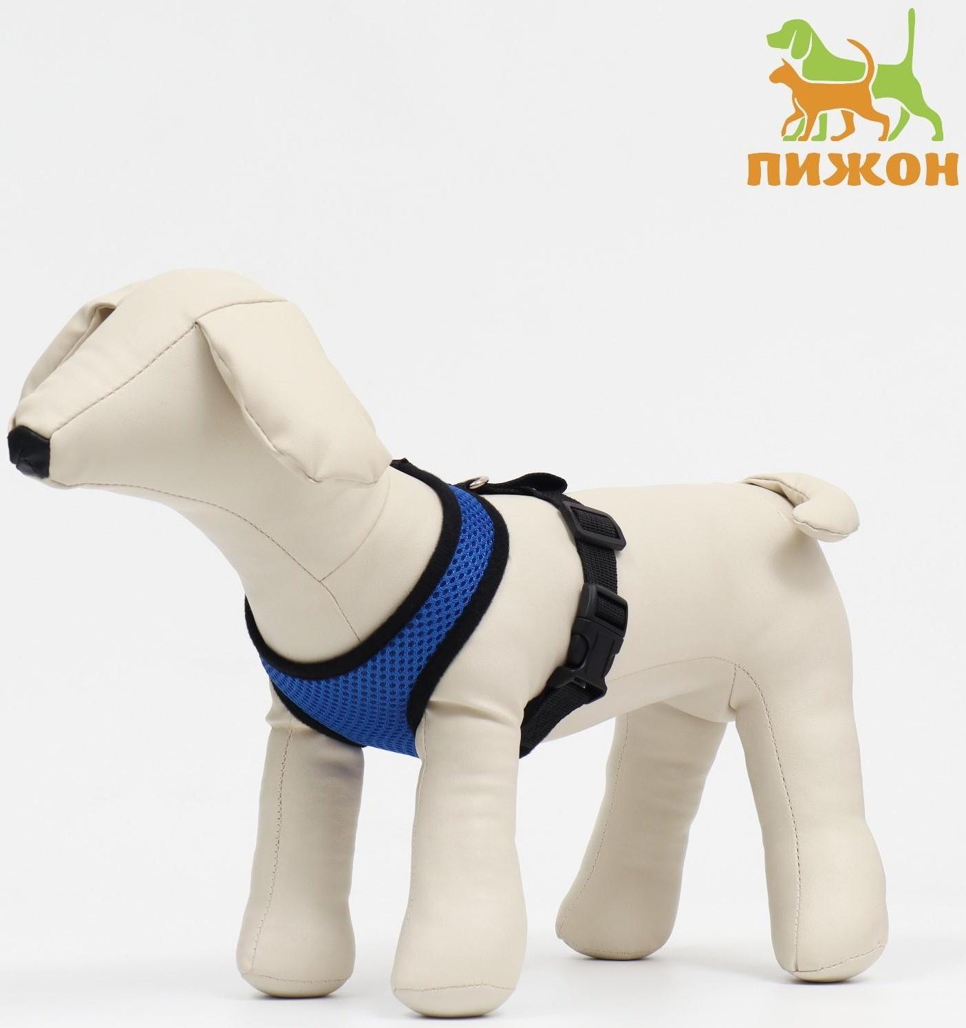 Шлейка мягкая из неопрена, размер S, ОШ 24 см, ОГ 24-34 см, синяя