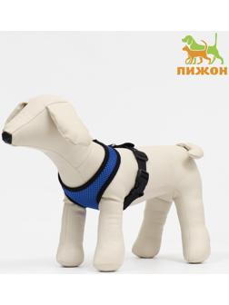 Шлейка мягкая из неопрена, размер S, ОШ 24 см, ОГ 24-34 см, синяя