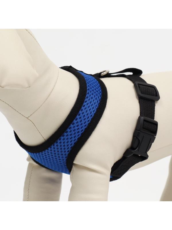 Шлейка мягкая из неопрена, размер S, ОШ 24 см, ОГ 24-34 см, синяя