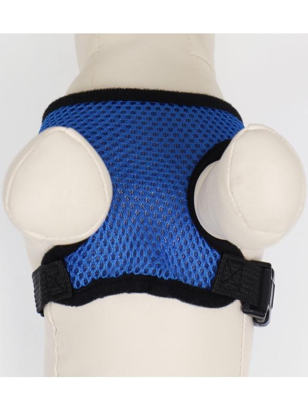 Шлейка мягкая из неопрена, размер S, ОШ 24 см, ОГ 24-34 см, синяя