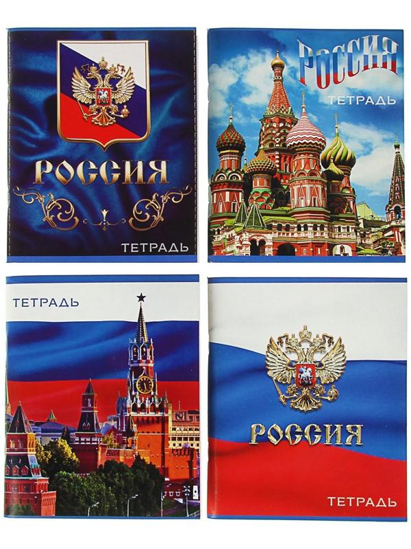 Тетрадь 96 листов в клетку Calligrata 