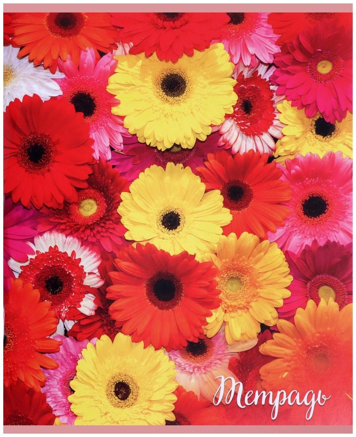 Тетрадь 96 листов в клетку 