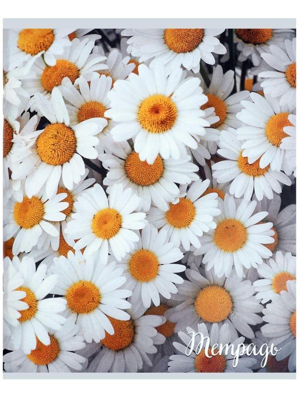 Тетрадь 96 листов в клетку 