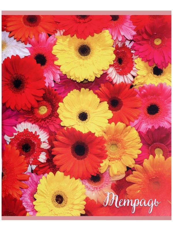 Тетрадь 96 листов в клетку 