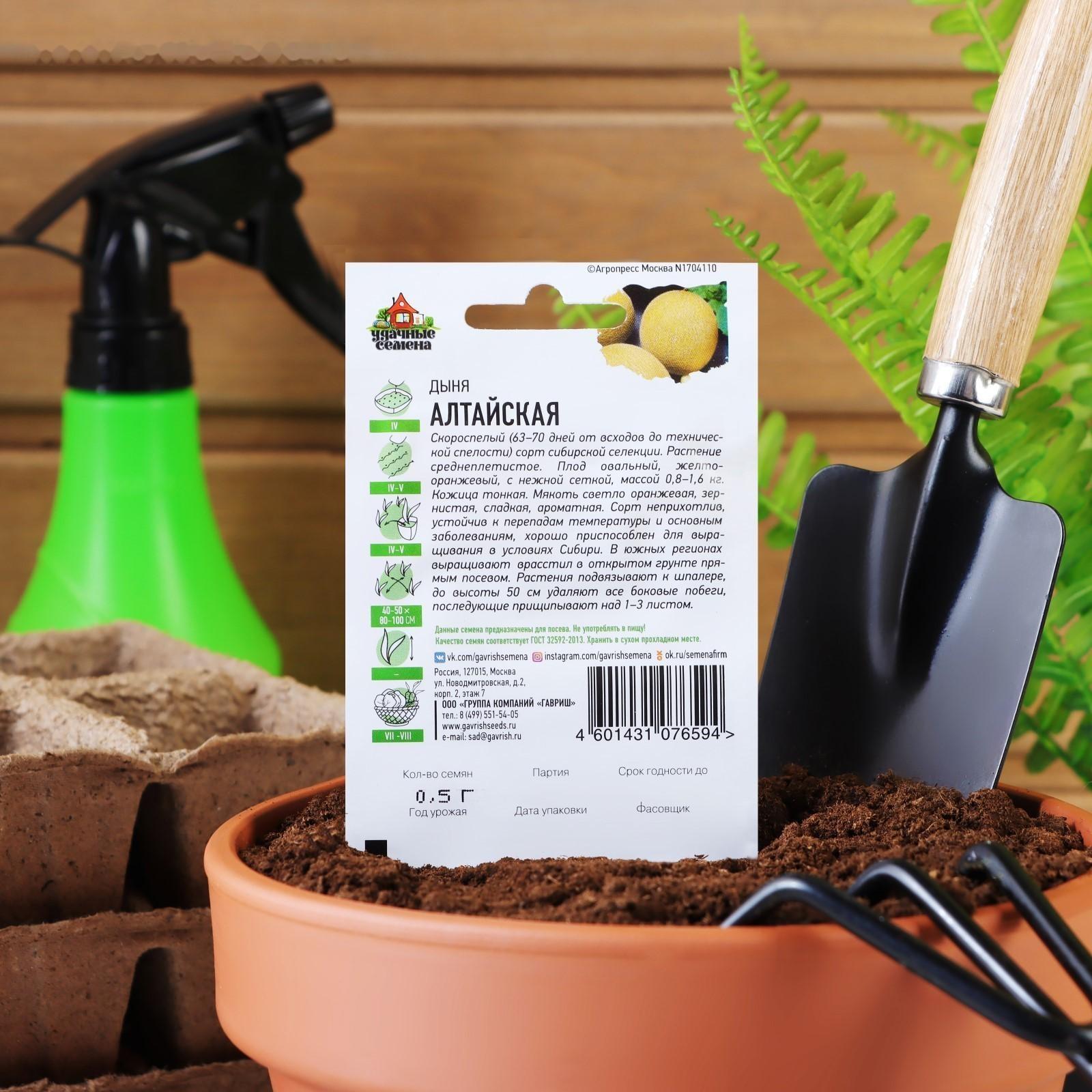 Семена Дыня 