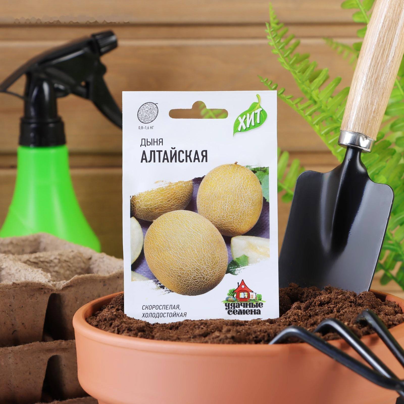 Семена Дыня 