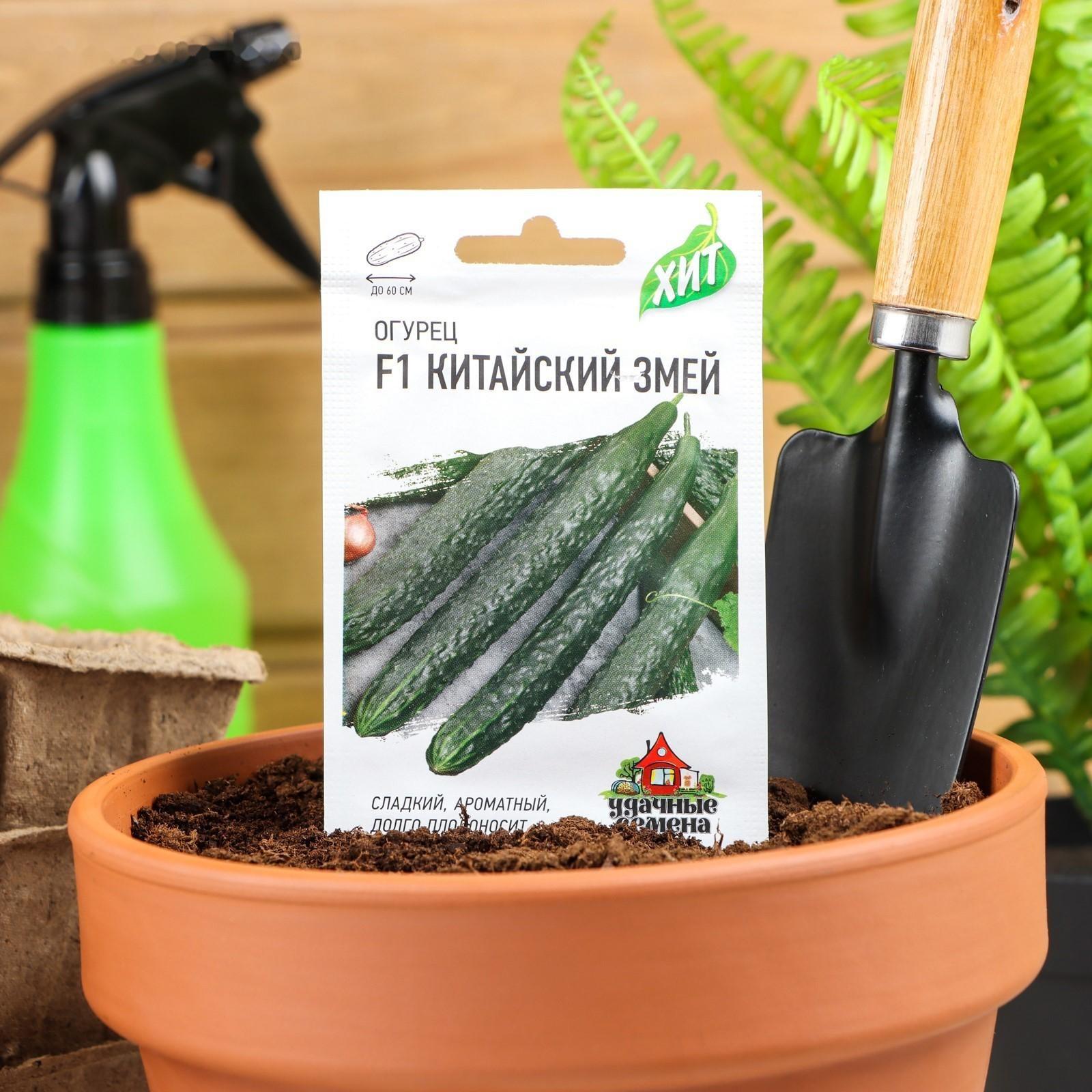 Семена Огурец 