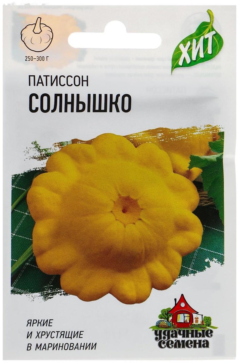 Семена Патиссон 