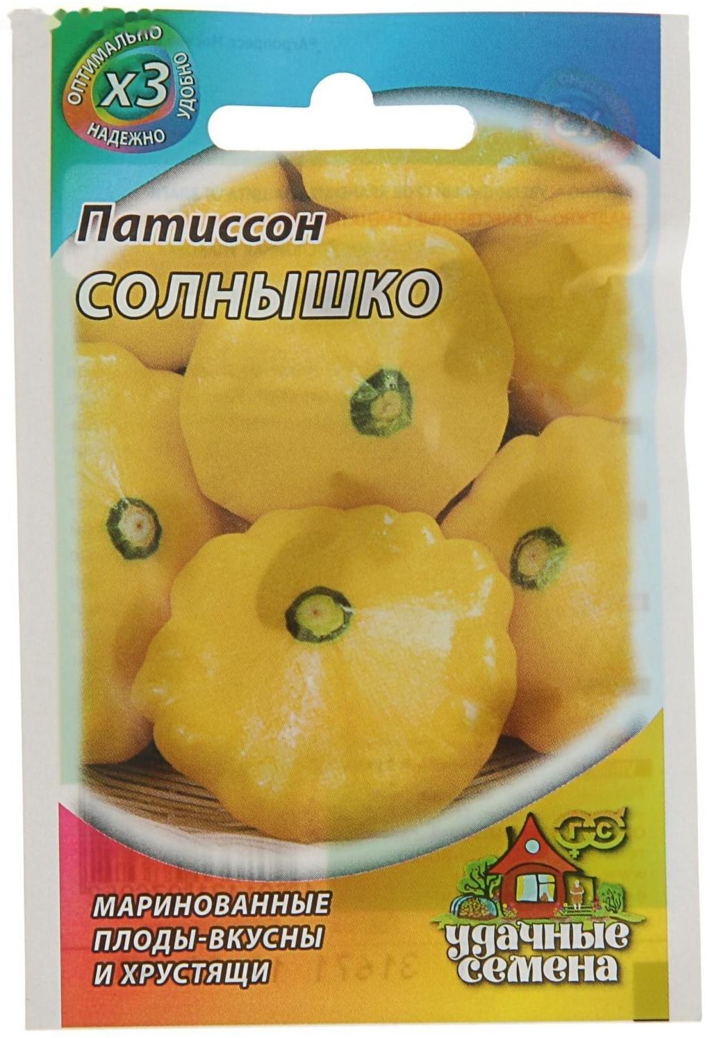 Семена Патиссон 