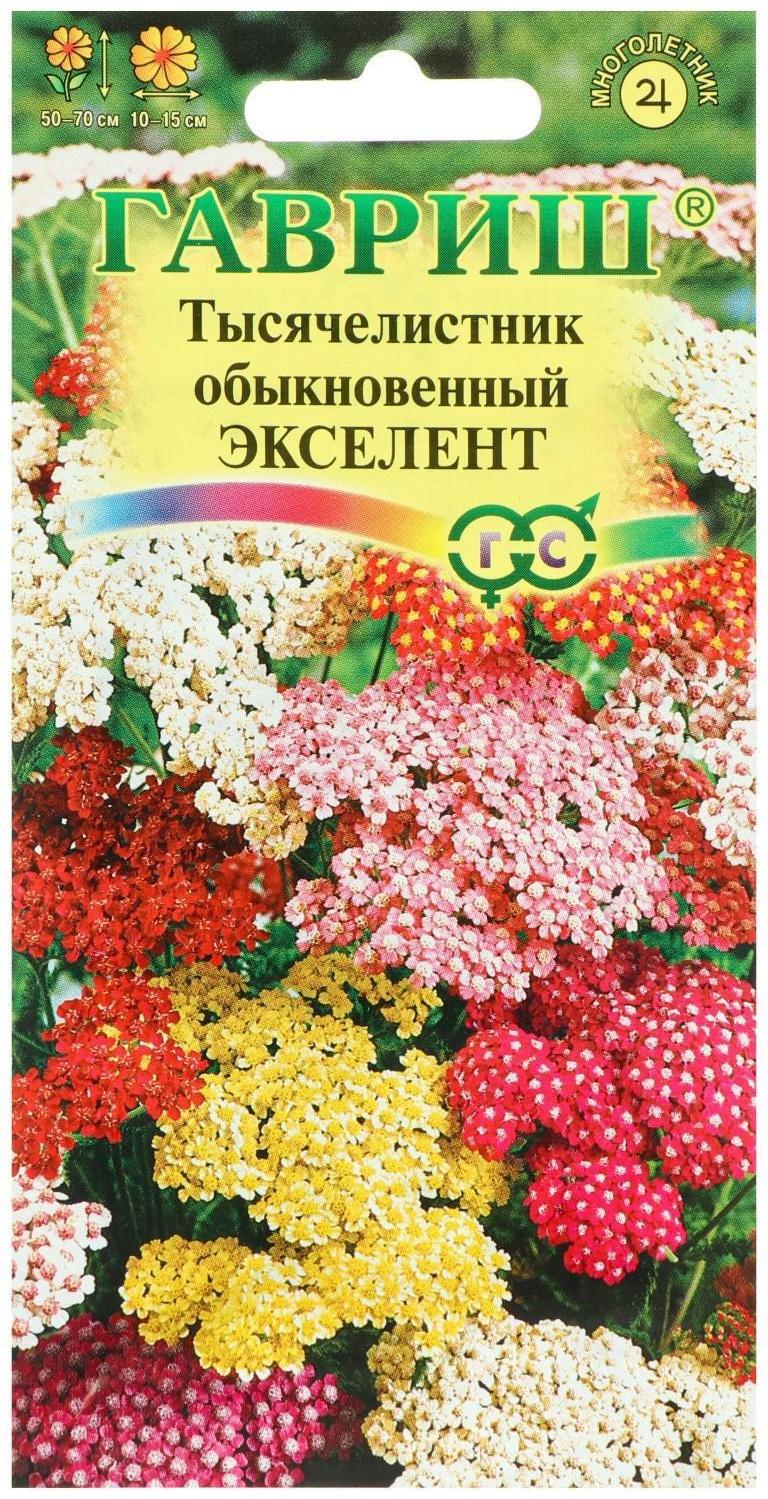 Семена цветов Тысячелистник 