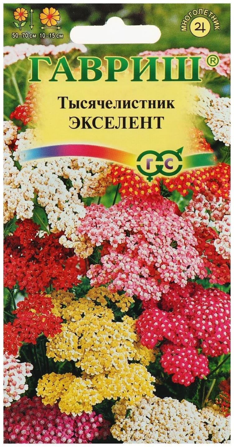 Семена цветов Тысячелистник 