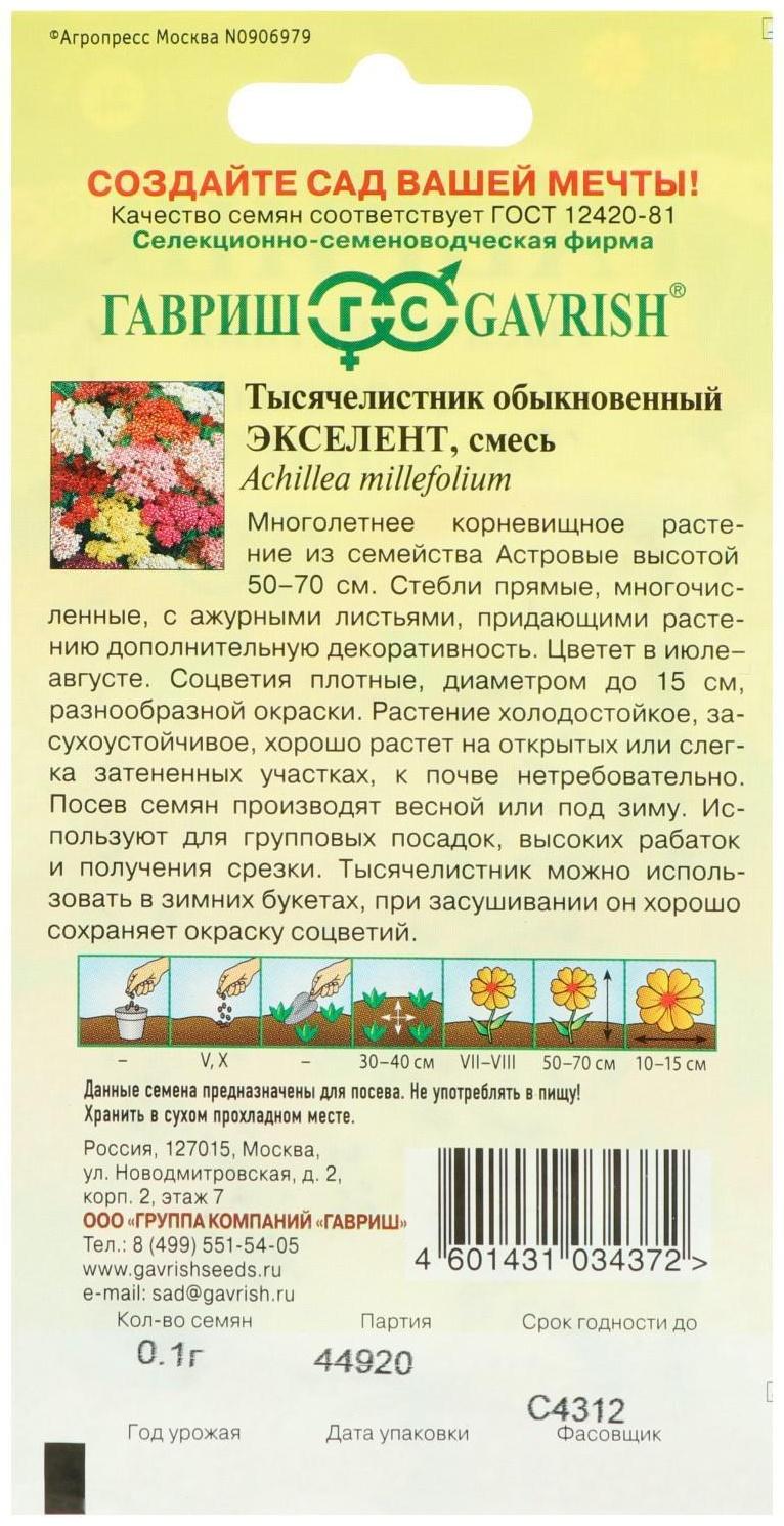 Семена цветов Тысячелистник 