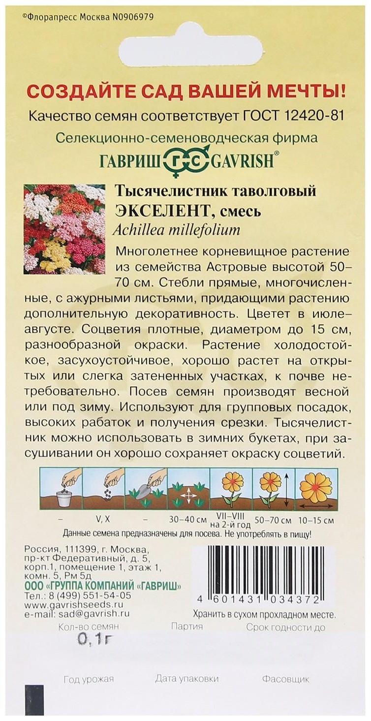 Семена цветов Тысячелистник 