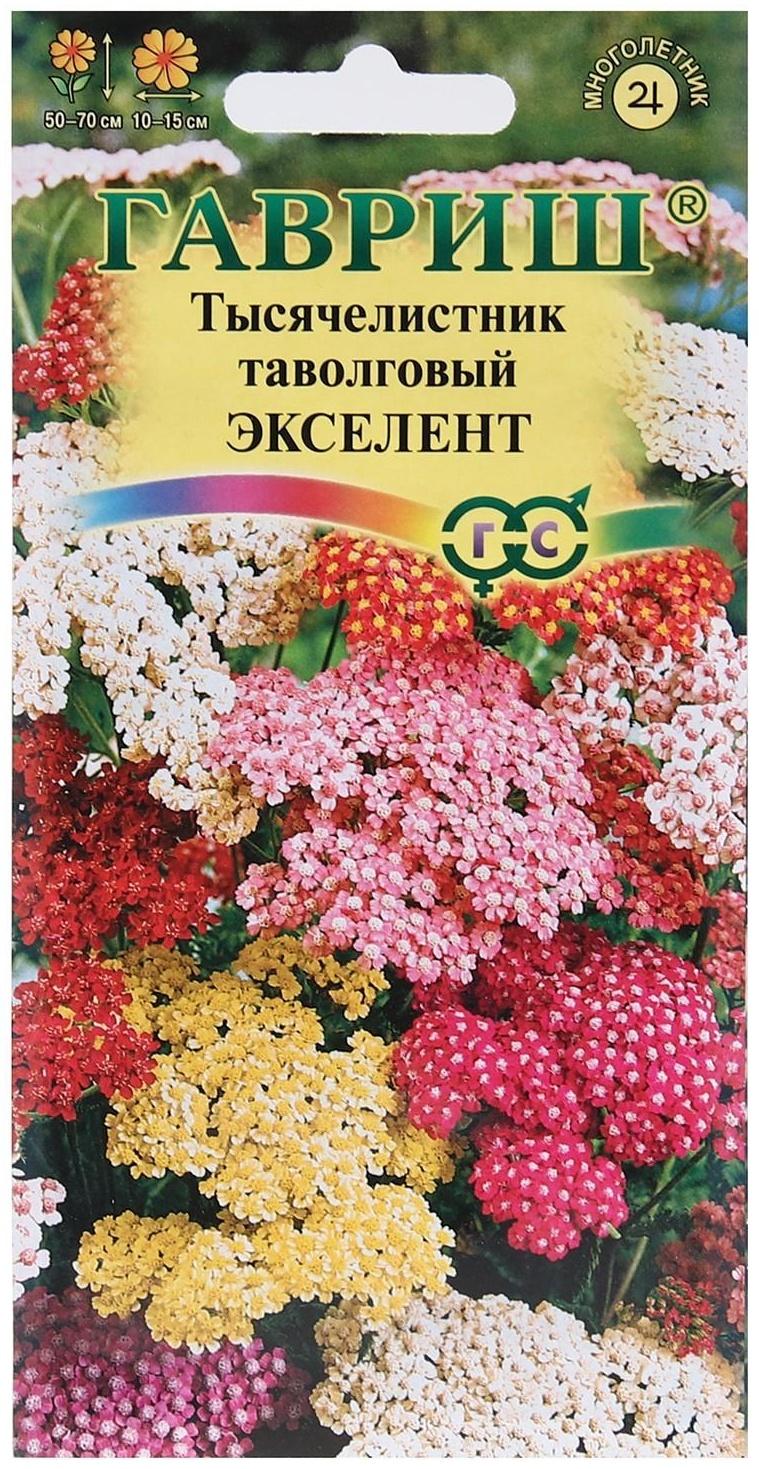 Семена цветов Тысячелистник 