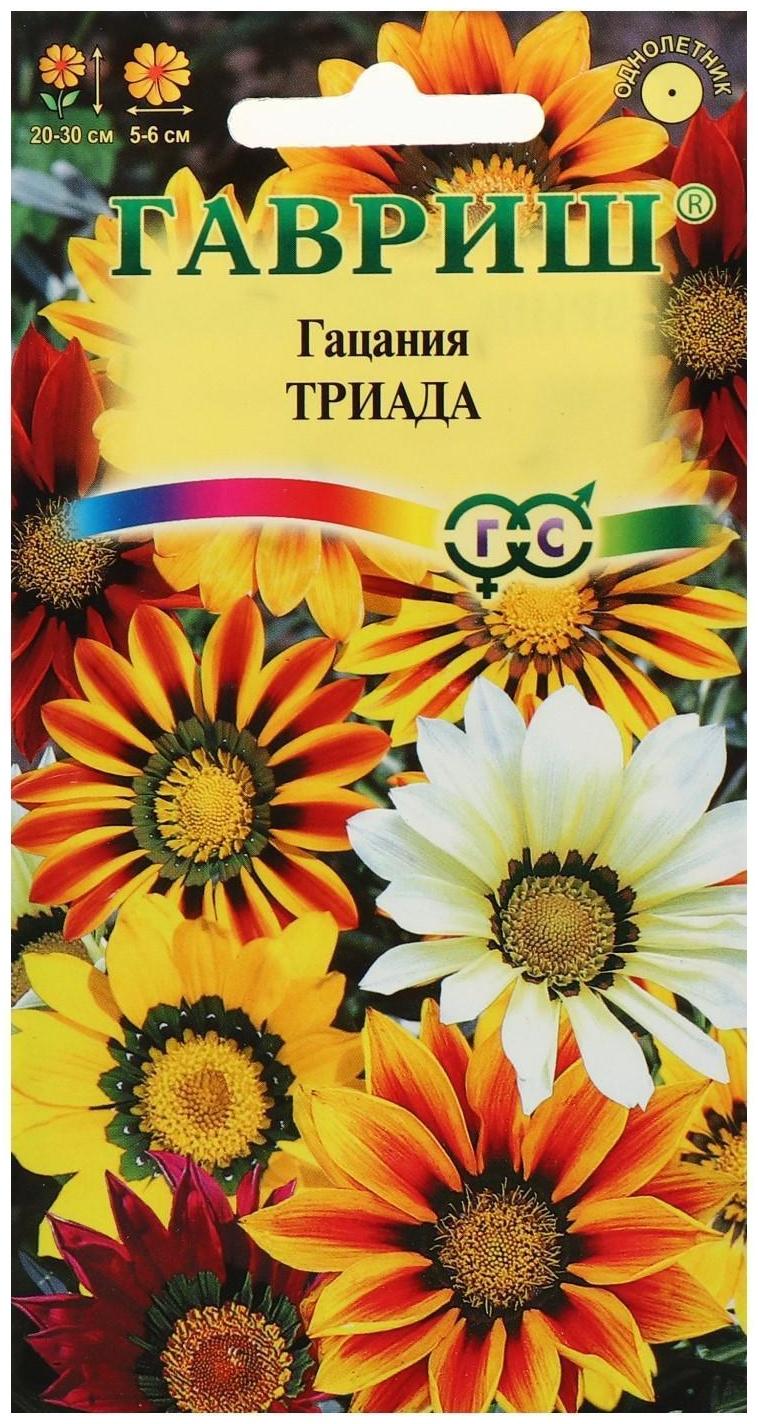 Семена цветов Гацания крупноцветковая 