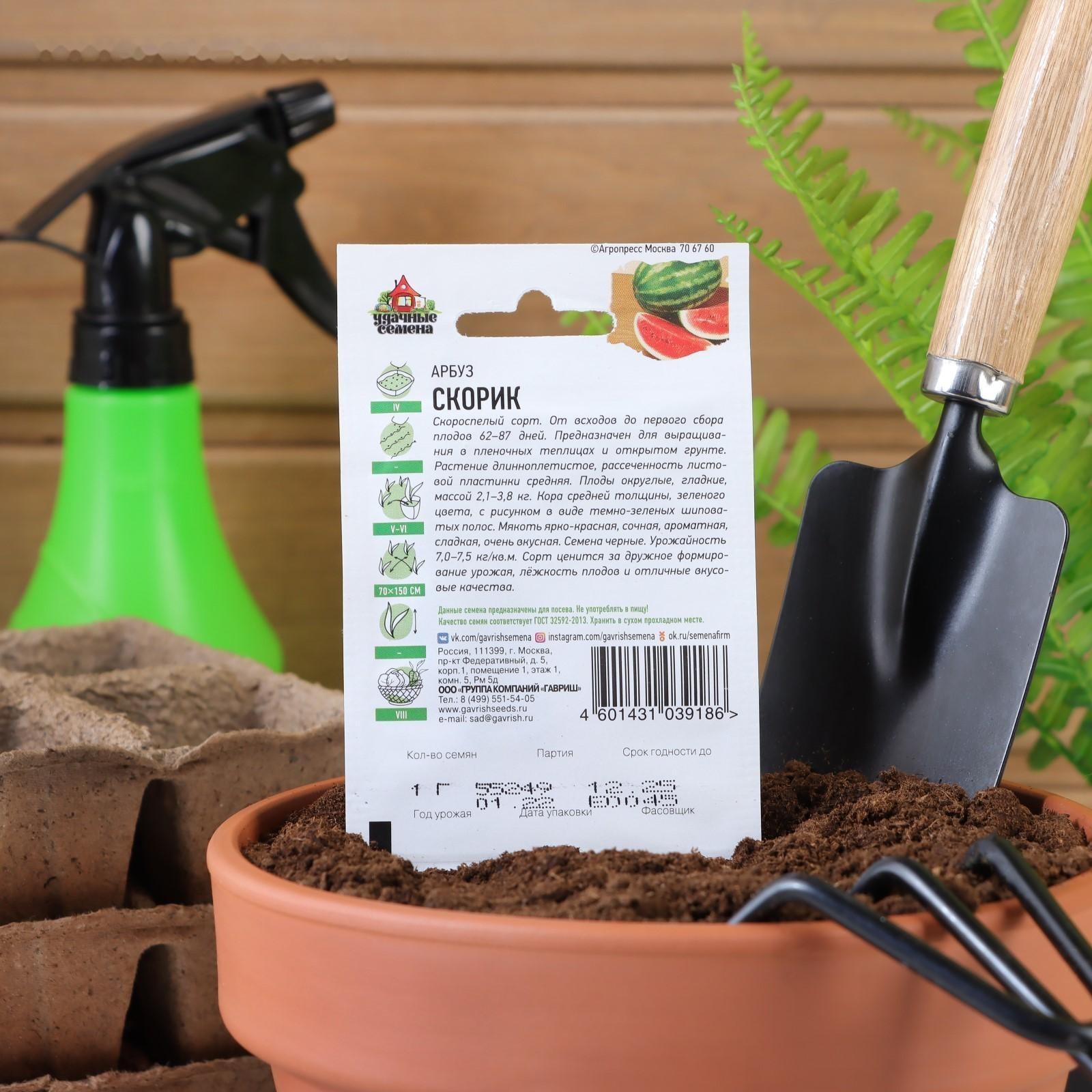 Семена Арбуз 