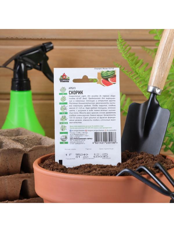 Семена Арбуз 