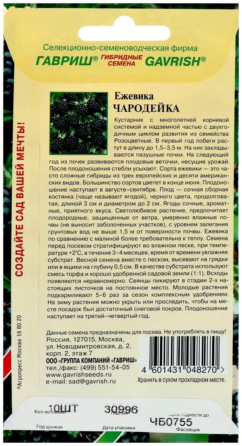 Семена Ежевика 