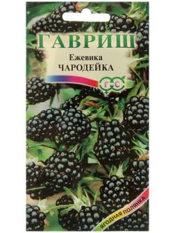 Семена Ежевика 