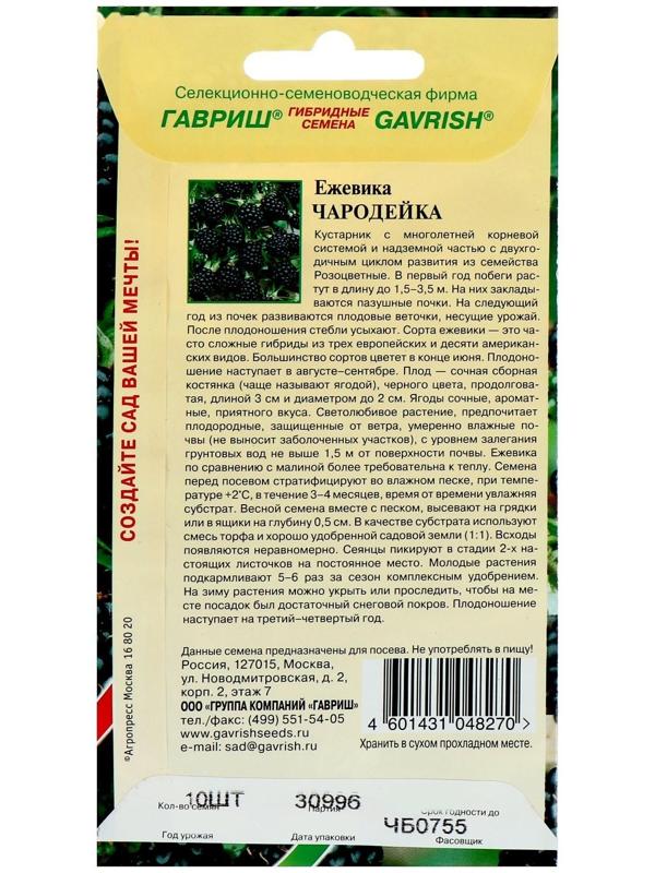 Семена Ежевика 