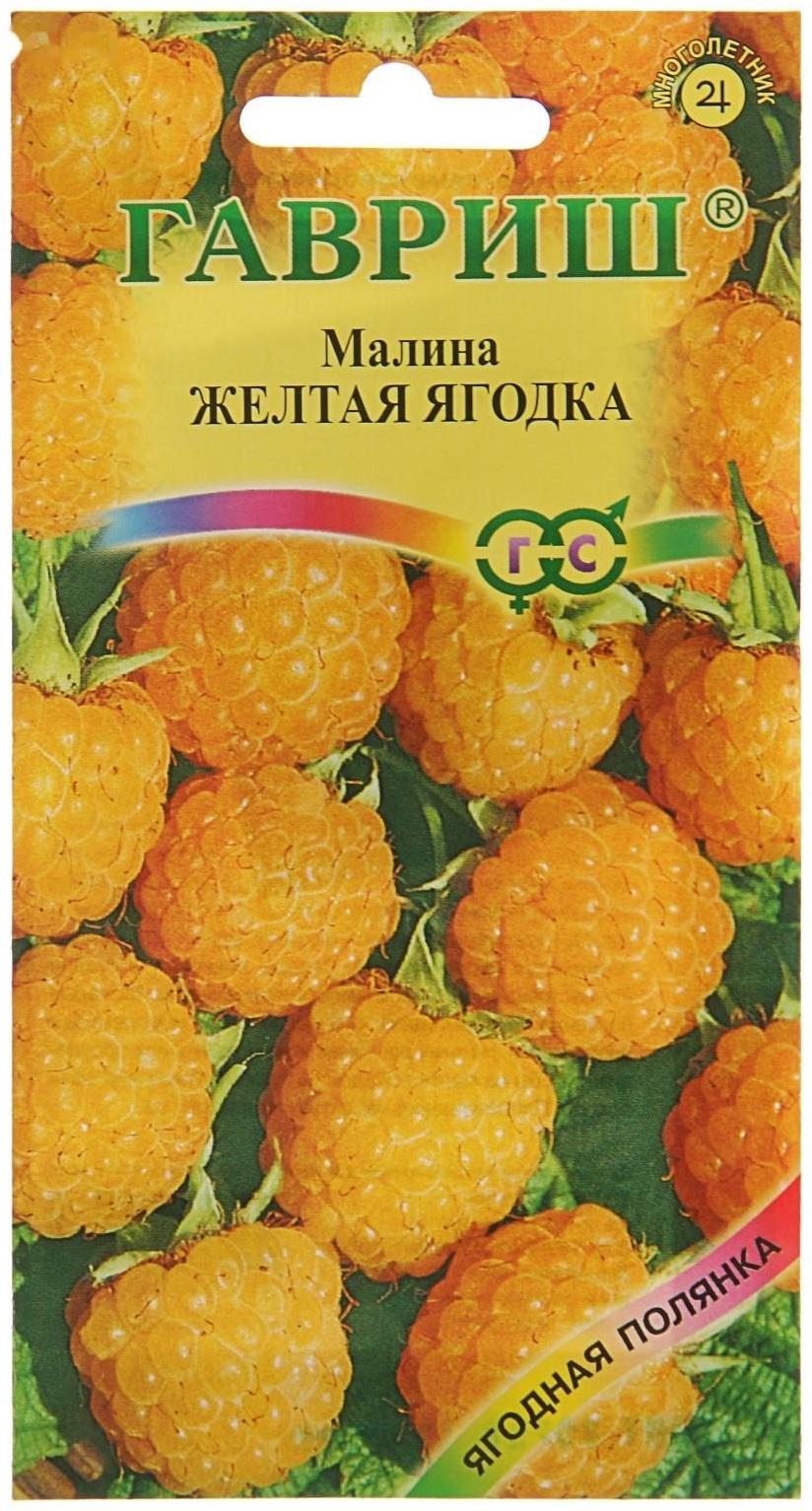 Семена Малина 