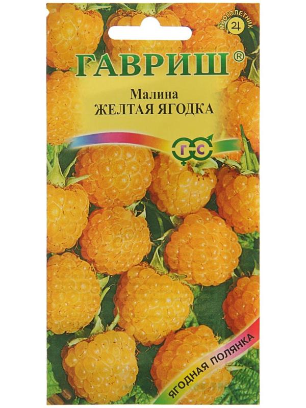 Семена Малина 