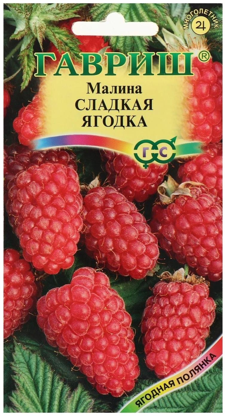 Семена Малина 