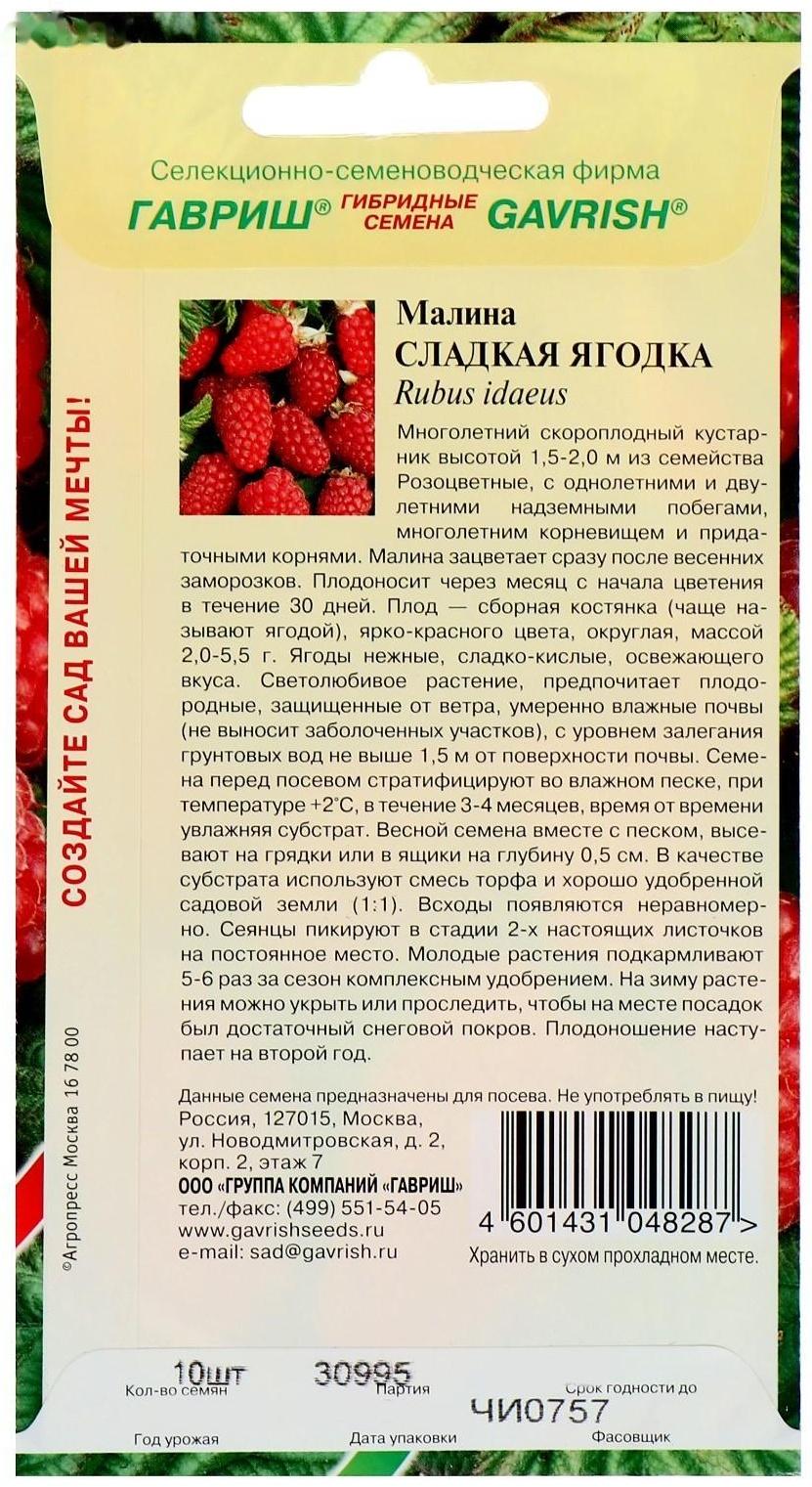 Семена Малина 