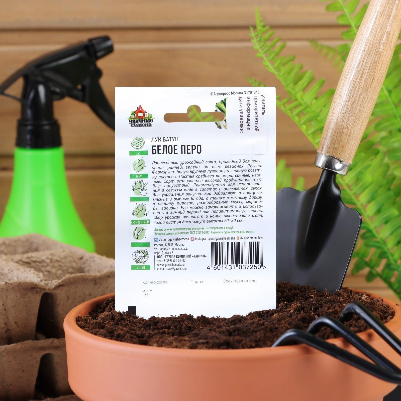 Семена Лук на зелень 