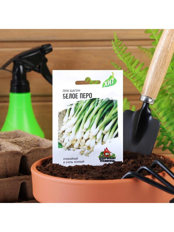 Семена Лук на зелень 