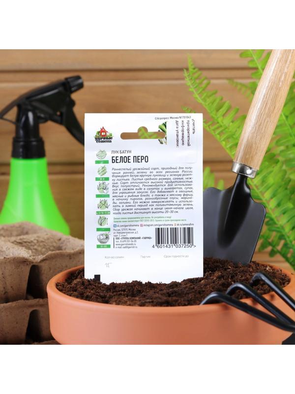 Семена Лук на зелень 