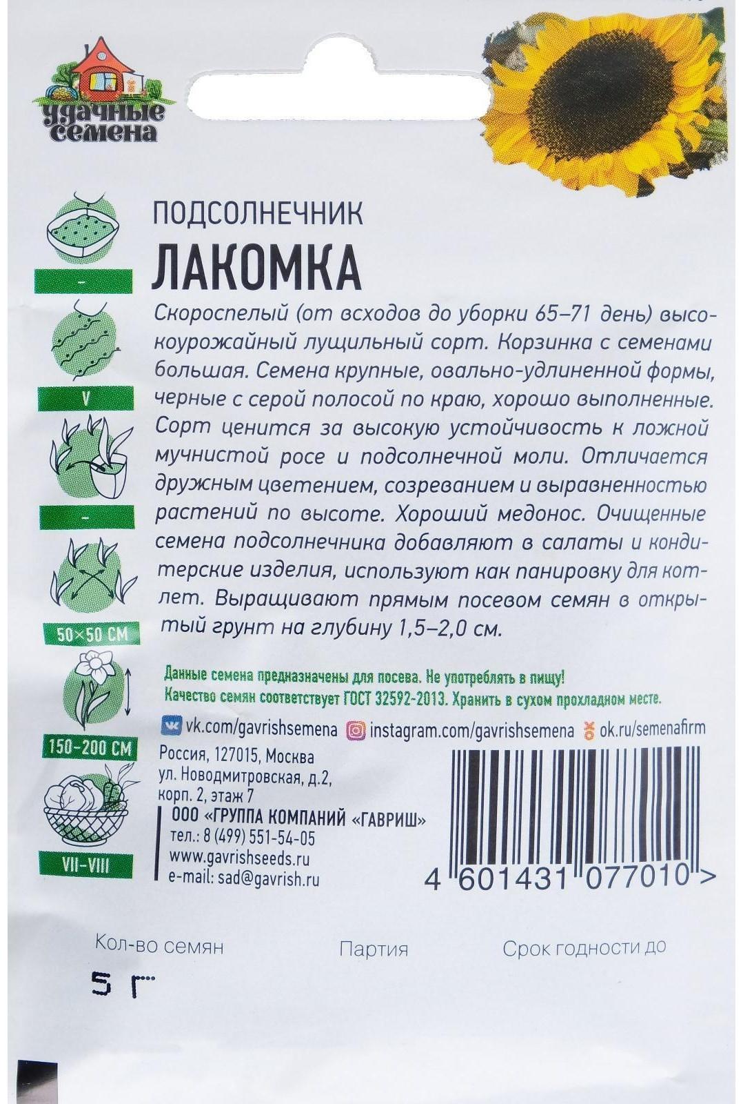 Семена Подсолнечник 