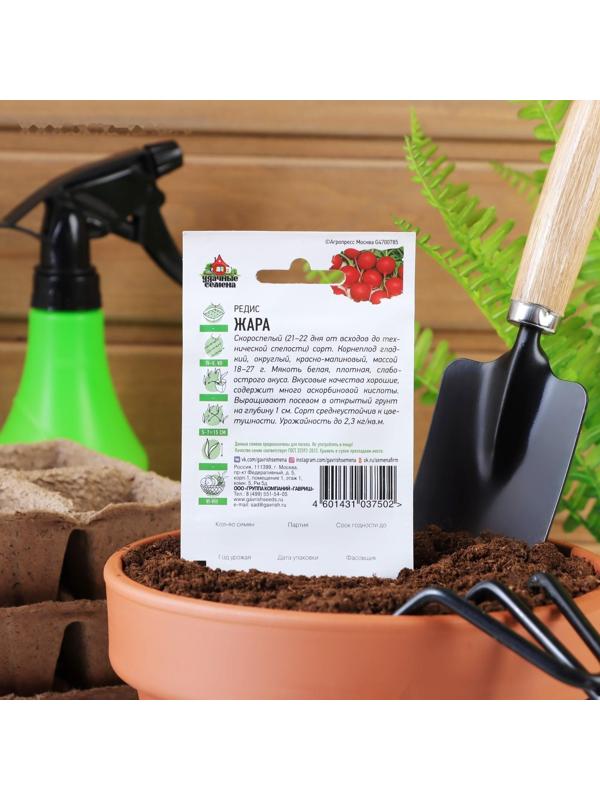 Семена Редис 