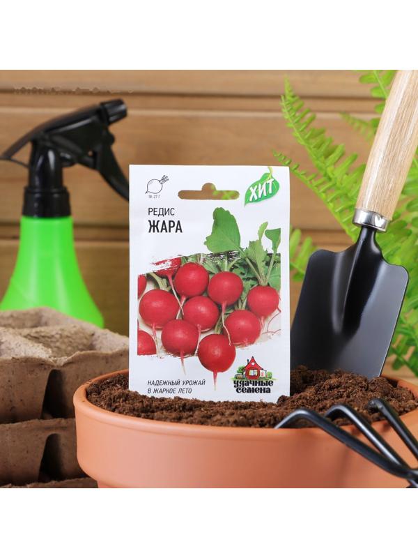 Семена Редис 