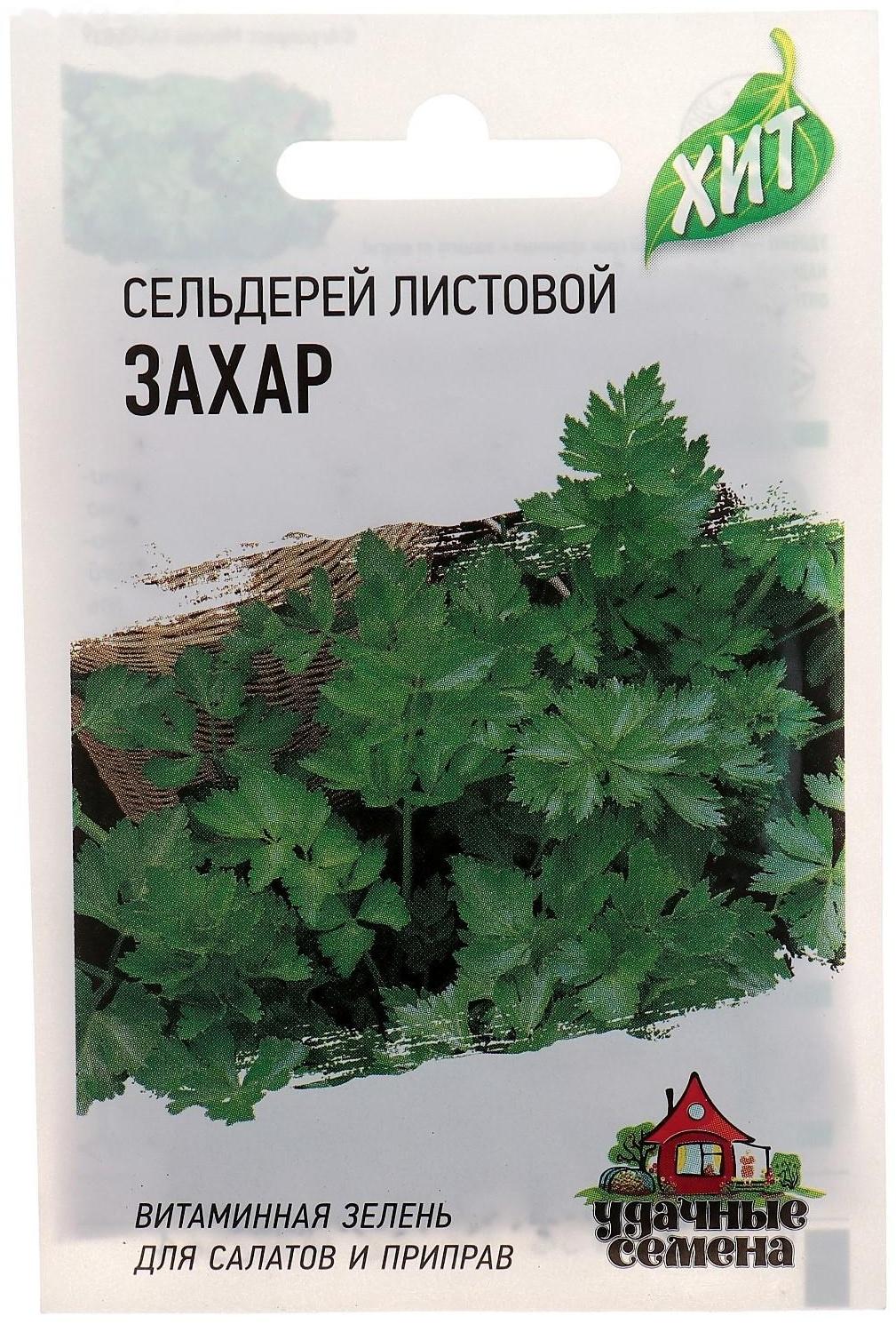 Семена Сельдерей 