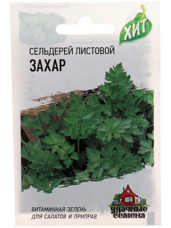 Семена Сельдерей 