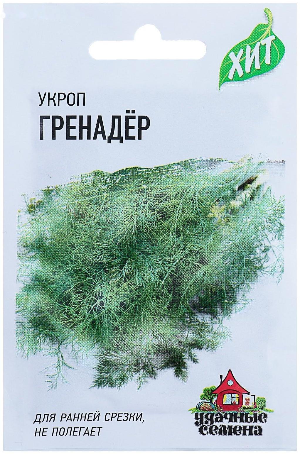 Семена Укроп 